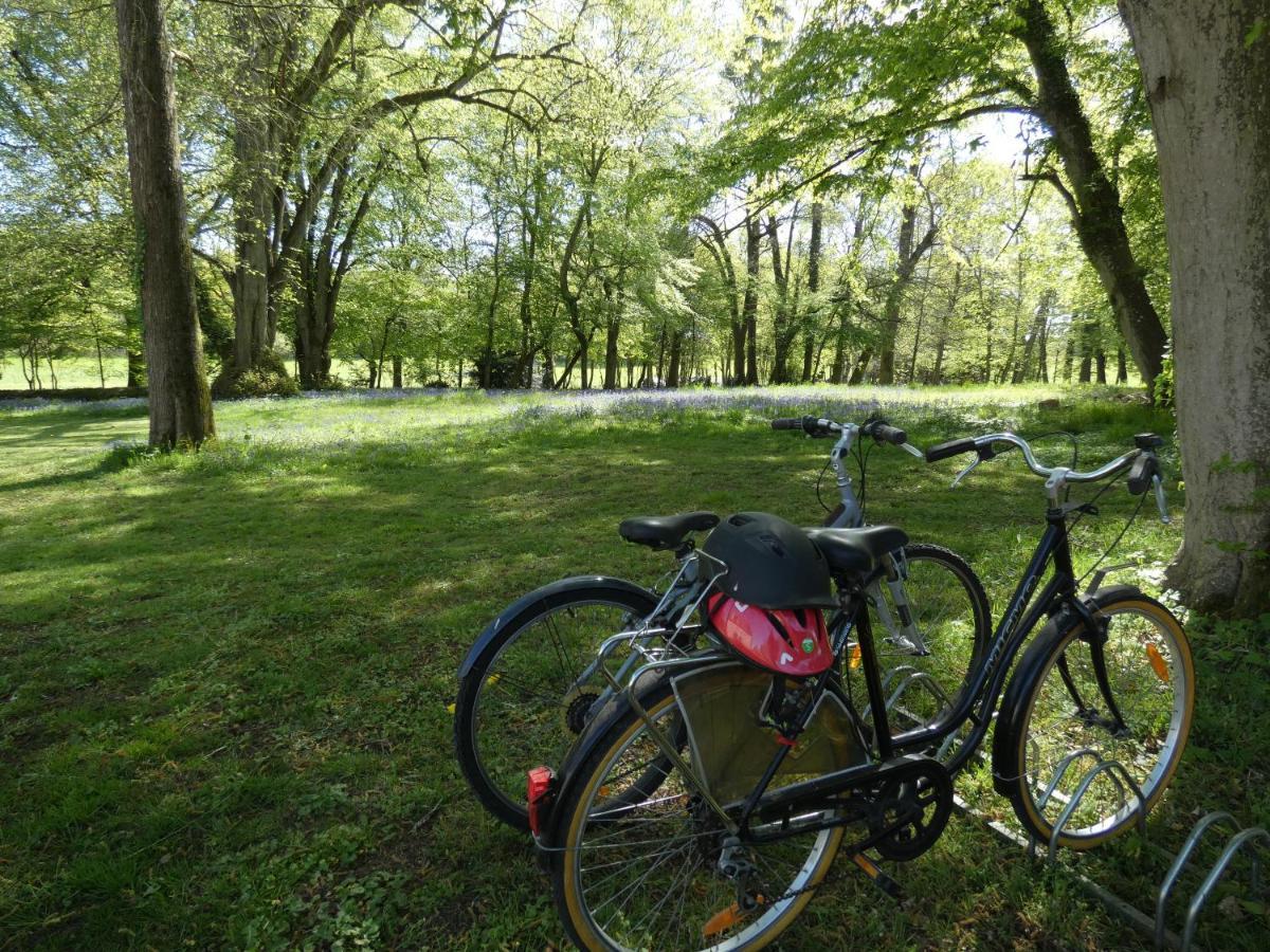 Domaine De Chatenay - Le Mans Saint Saturnin Bagian luar foto
