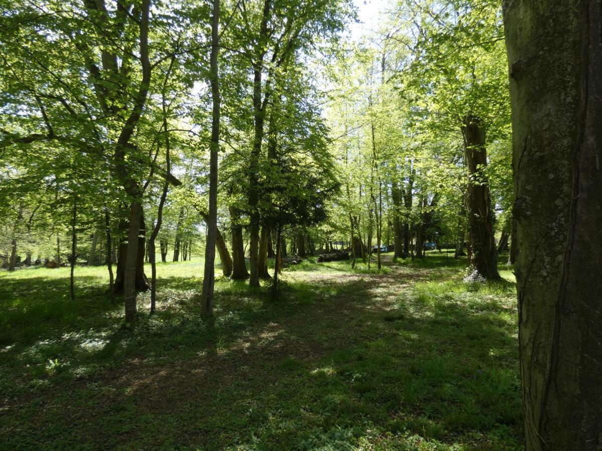 Domaine De Chatenay - Le Mans Saint Saturnin Bagian luar foto