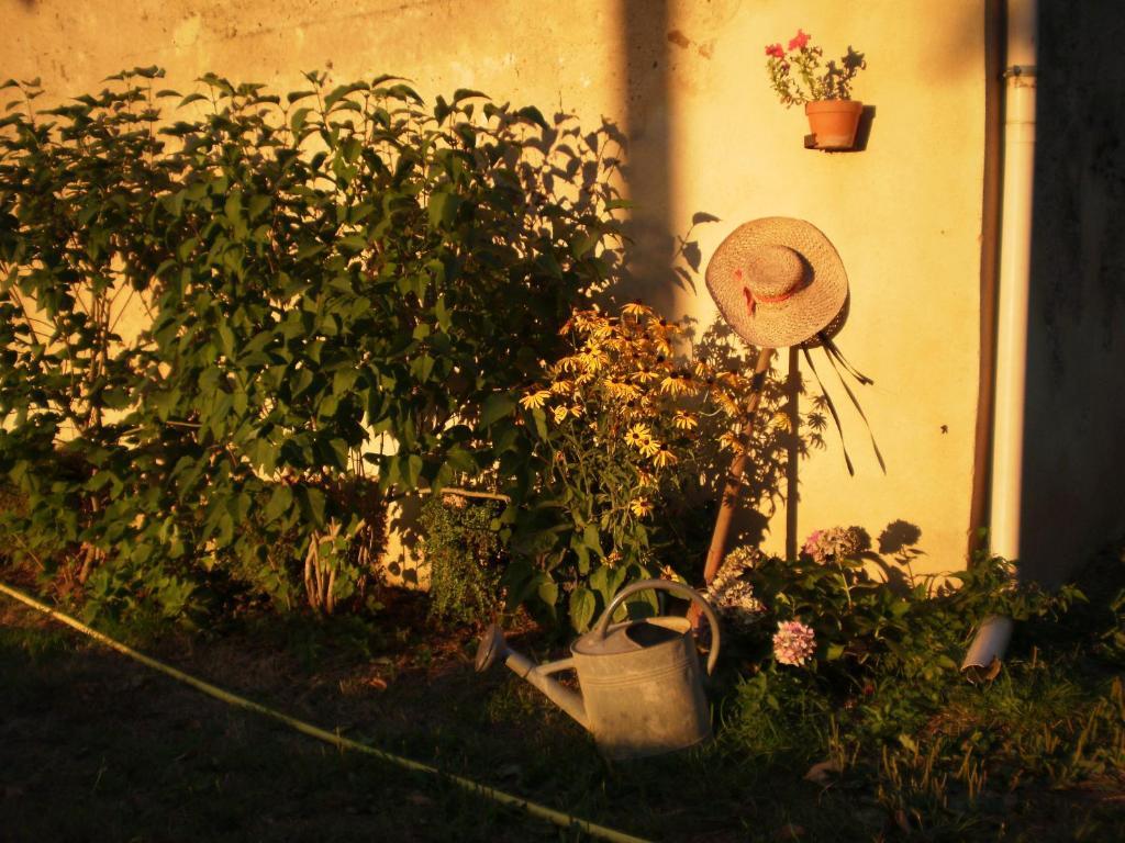 Domaine De Chatenay - Le Mans Saint Saturnin Bagian luar foto