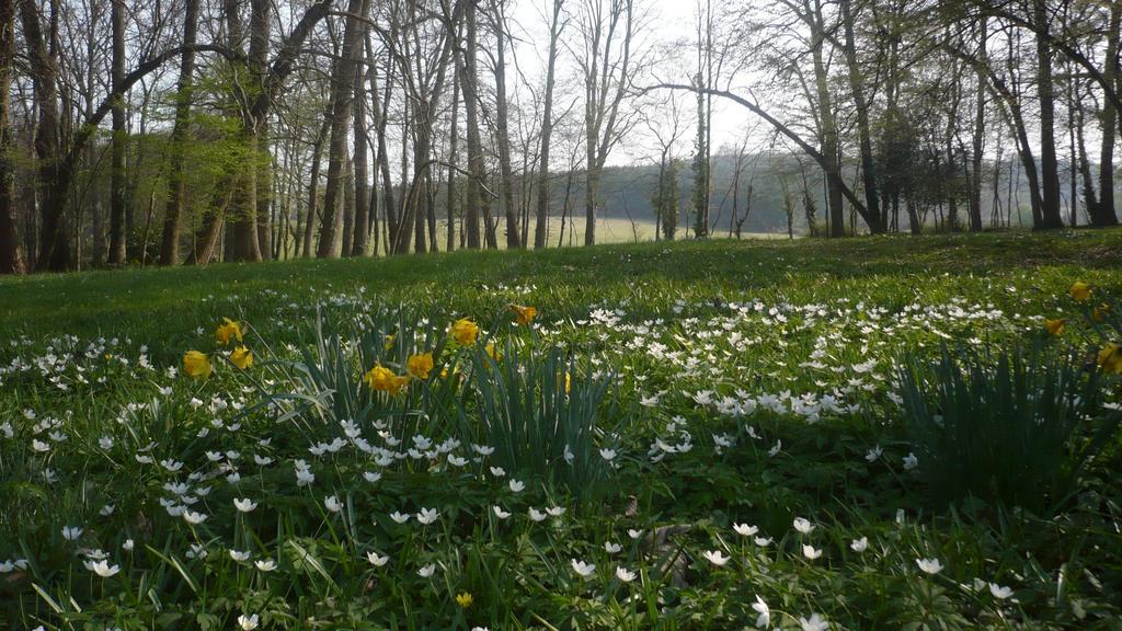 Domaine De Chatenay - Le Mans Saint Saturnin Bagian luar foto