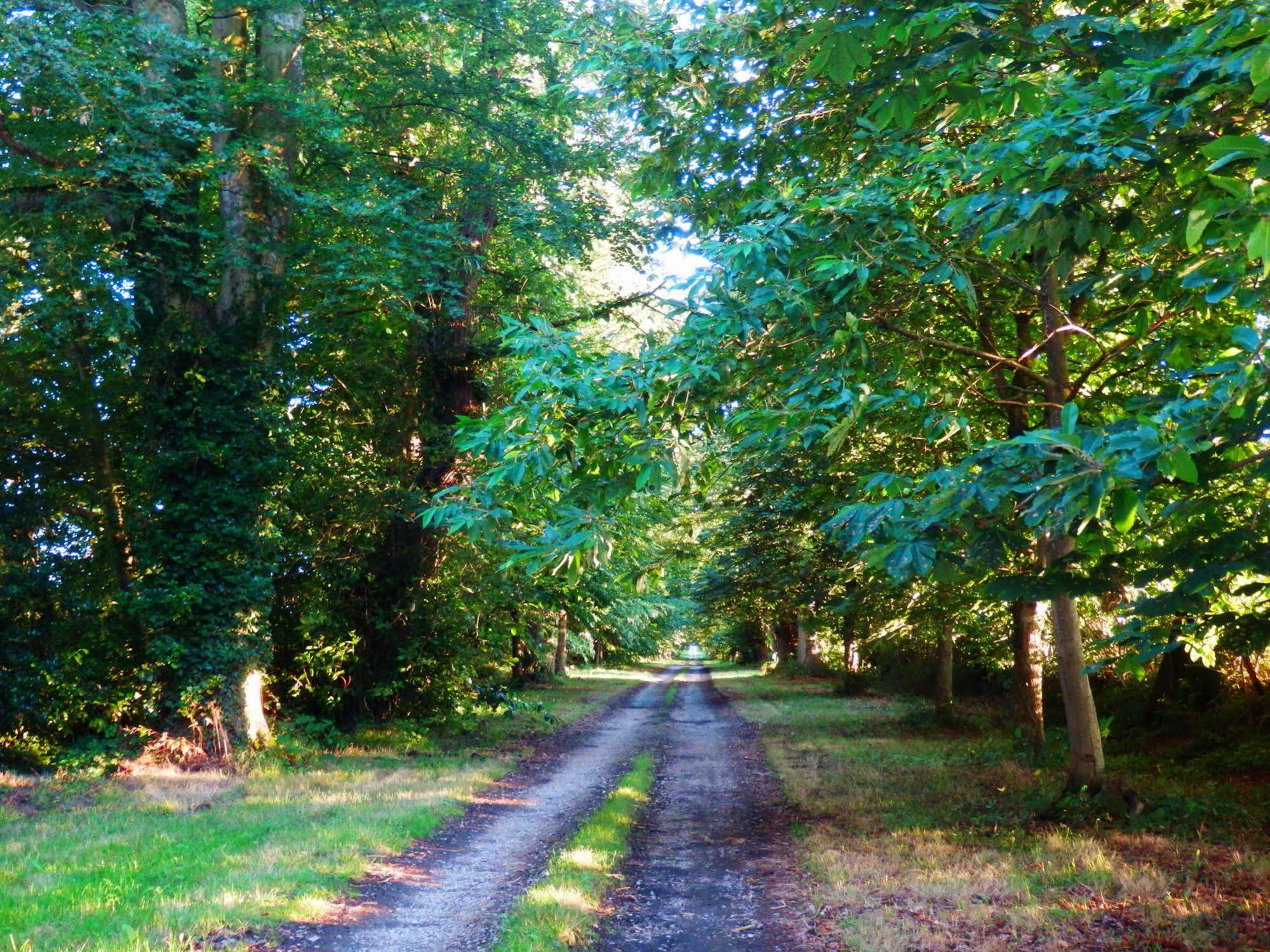 Domaine De Chatenay - Le Mans Saint Saturnin Bagian luar foto